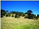 Cooroy QLD 4563
