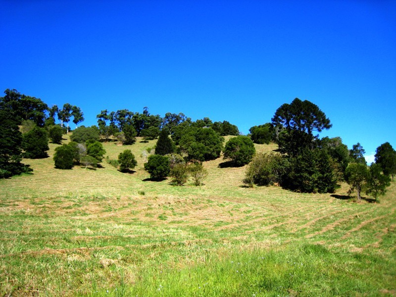 Cooroy QLD 4563