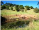 Cooroy QLD 4563