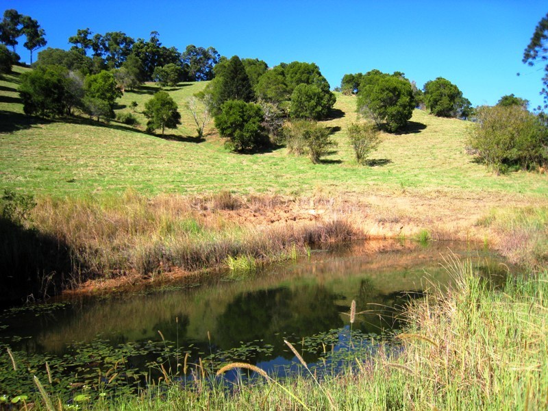 Cooroy QLD 4563