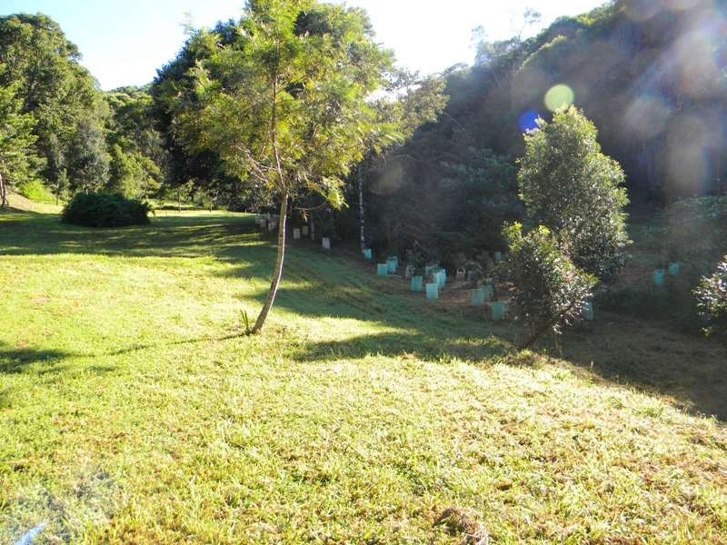 23a Falls Creek Road, Cooran QLD 4569