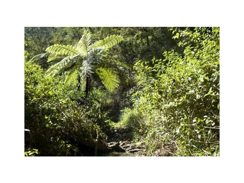 23a Falls Creek Road, Cooran QLD 4569