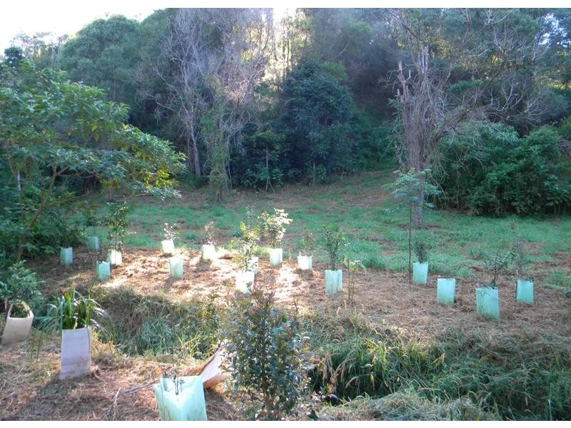 23a Falls Creek Road, Cooran QLD 4569