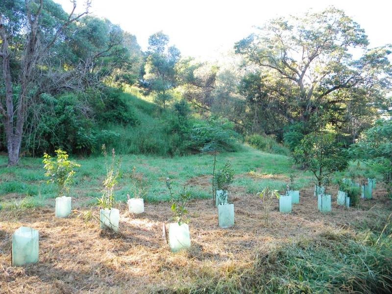 23a Falls Creek Road, Cooran QLD 4569