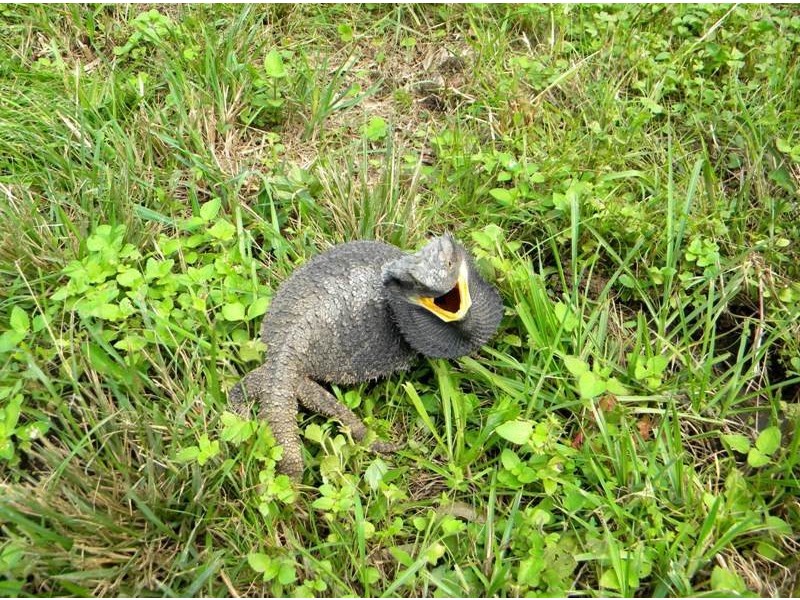 14 Mountain View Road, Kybong QLD 4570