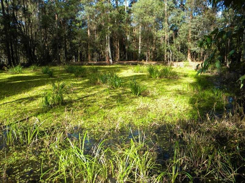 15 Limetree Lane, Pomona QLD 4568