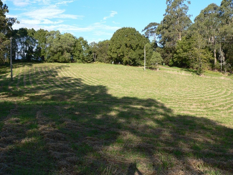 161 Black Pinch Road, Cootharaba QLD 4565