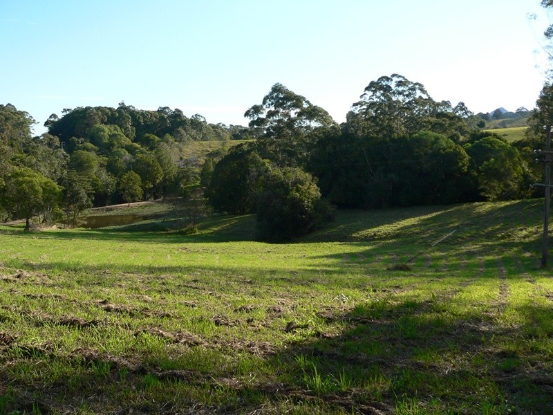 161 Black Pinch Road, Cootharaba QLD 4565