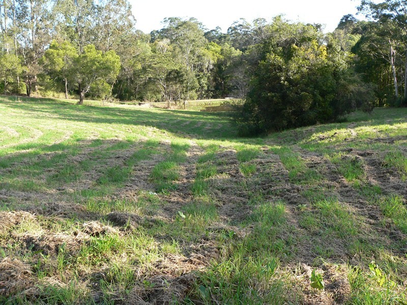 161 Black Pinch Road, Cootharaba QLD 4565