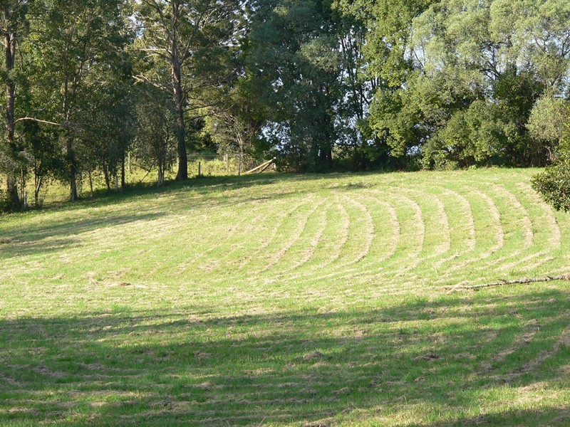 161 Black Pinch Road, Cootharaba QLD 4565