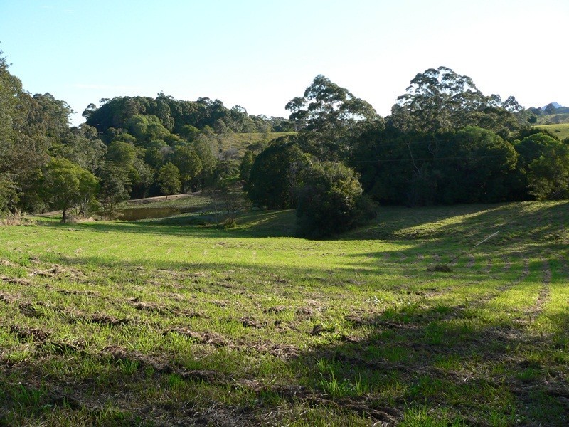 161 Black Pinch Road, Cootharaba QLD 4565