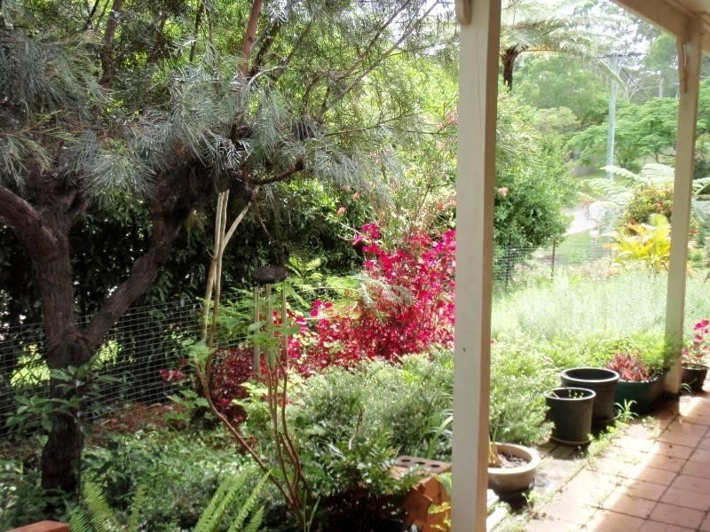 20 Tree Street, Pomona QLD 4568