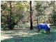 Pomona QLD 4568