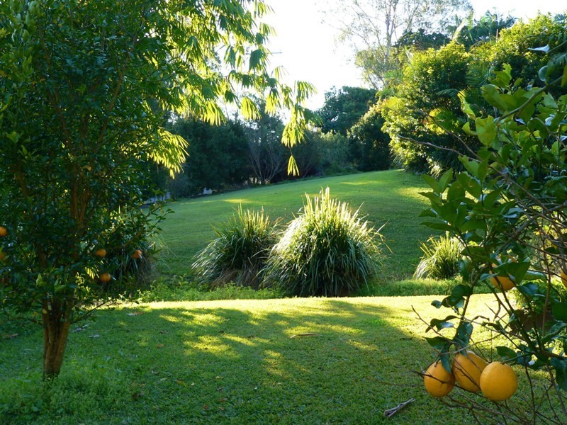 Cooran QLD 4569