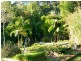 Cooran QLD 4569
