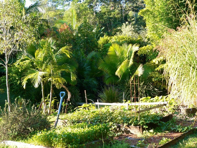 Cooran QLD 4569