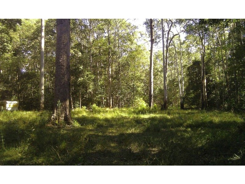 49 Kildeys Road, Cootharaba QLD 4565