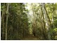 49 Kildeys Road, Cootharaba QLD 4565