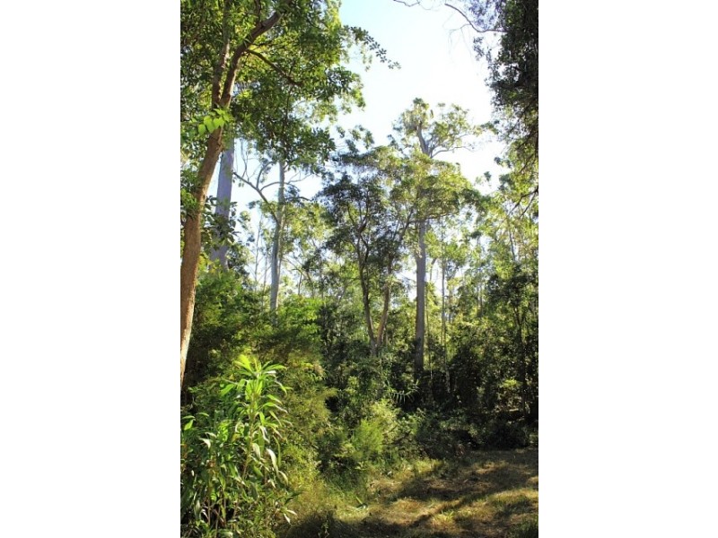49 Kildeys Road, Cootharaba QLD 4565