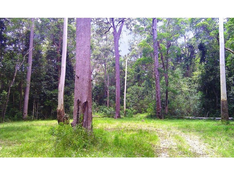 49 Kildeys Road, Cootharaba QLD 4565