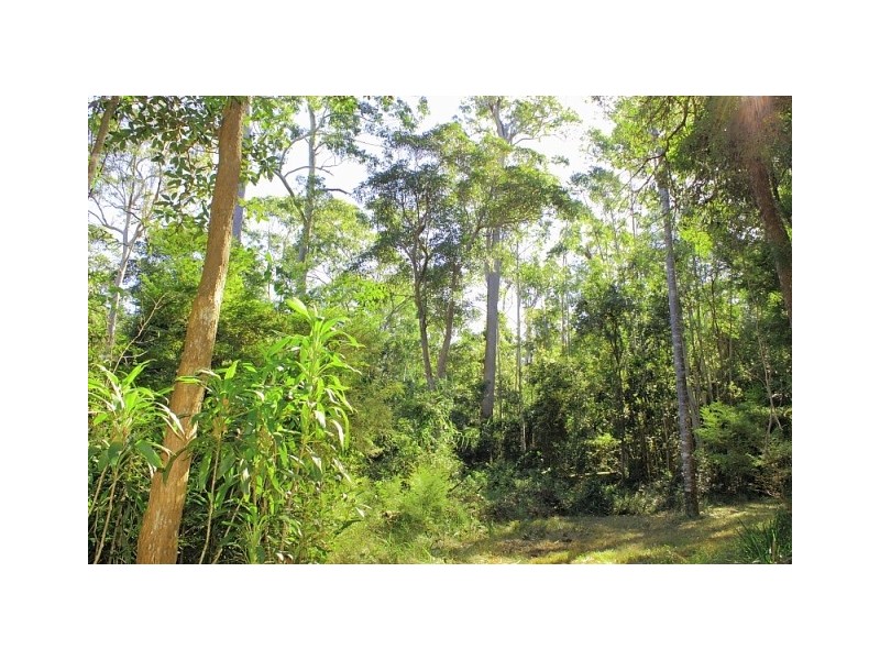 49 Kildeys Road, Cootharaba QLD 4565