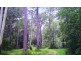 49 Kildeys Road, Cootharaba QLD 4565