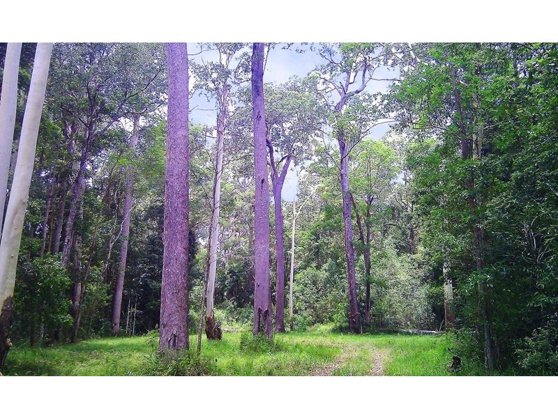 49 Kildeys Road, Cootharaba QLD 4565