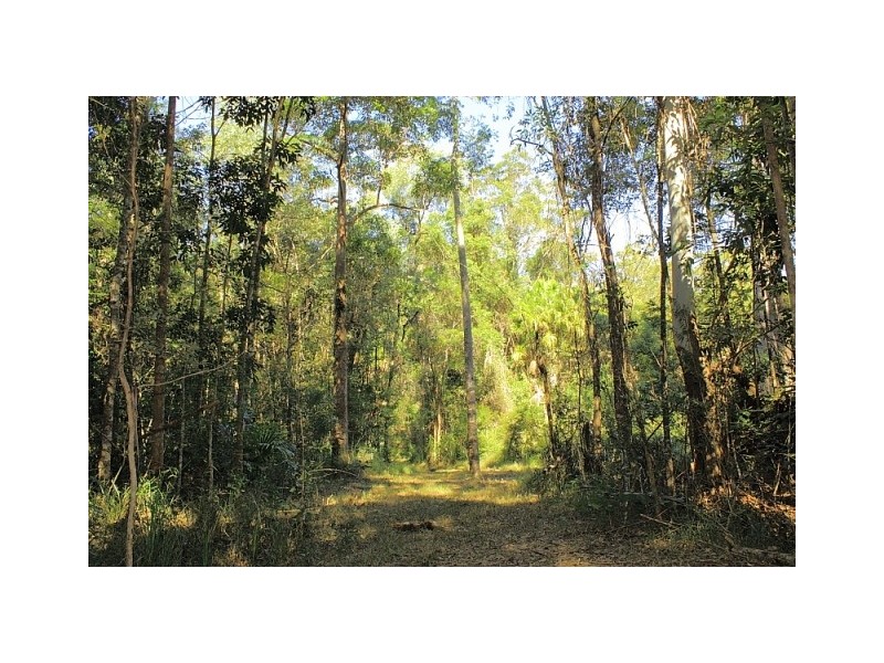 49 Kildeys Road, Cootharaba QLD 4565