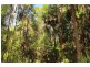 49 Kildeys Road, Cootharaba QLD 4565