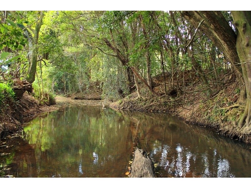 129 Eastern Branch Rd, Kin Kin QLD 4571