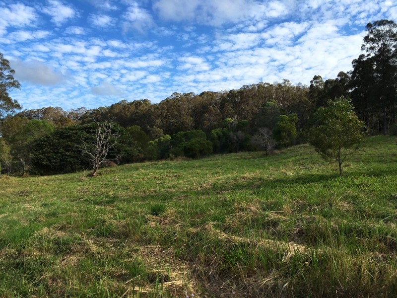 179 Andersons Road, Federal QLD 4568