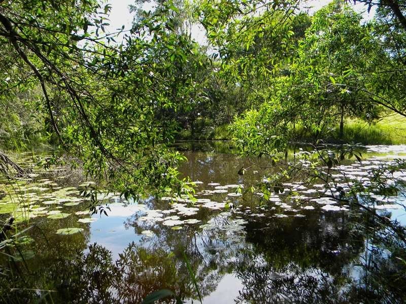 375 Traveston Road, Traveston QLD 4570