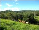 99 Jorgensons Rd, Cooroy QLD 4563