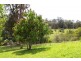 99 Jorgensons Rd, Cooroy QLD 4563