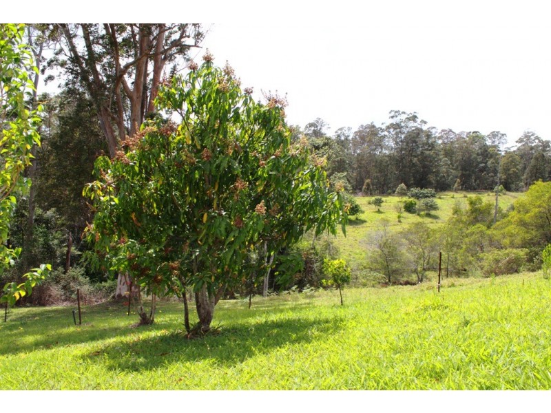 99 Jorgensons Rd, Cooroy QLD 4563