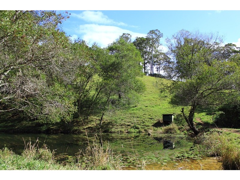 99 Jorgensons Rd, Cooroy QLD 4563