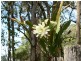 Kin Kin QLD 4571
