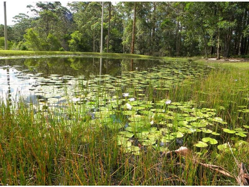 81 Hawk Road, Pomona QLD 4568