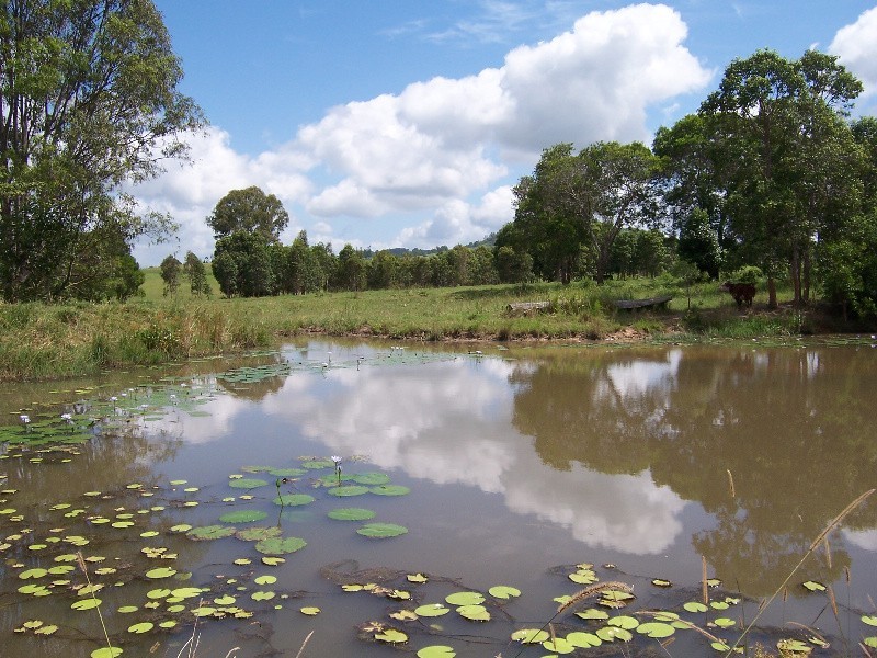 Wolvi QLD 4570