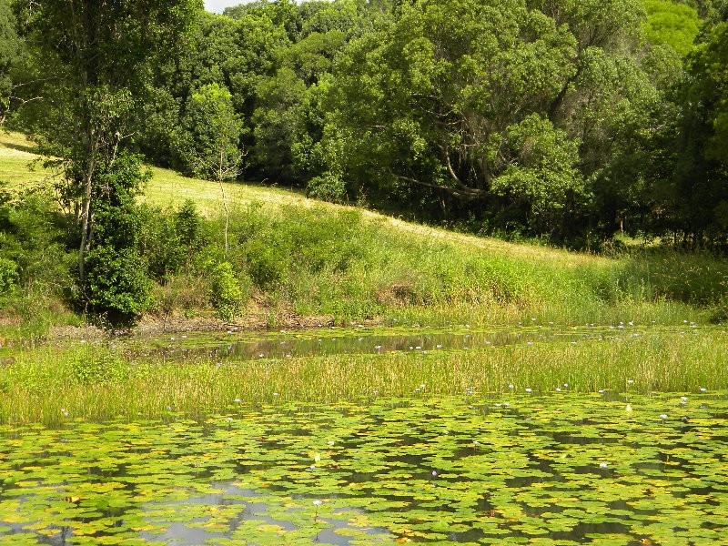 1091 Pomona Kin Kin Road, Kin Kin QLD 4571
