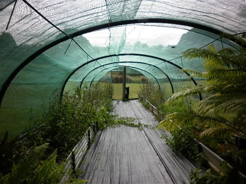 18 Gardners Road, Federal QLD 4568