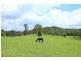 99 Traveston Road, Traveston QLD 4570
