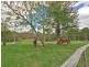 99 Traveston Road, Traveston QLD 4570