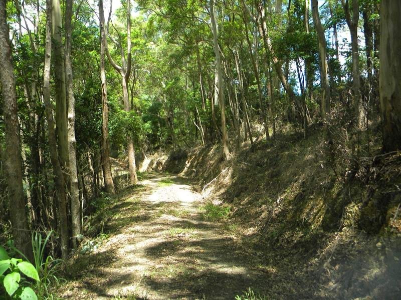 Cootharaba QLD 4565