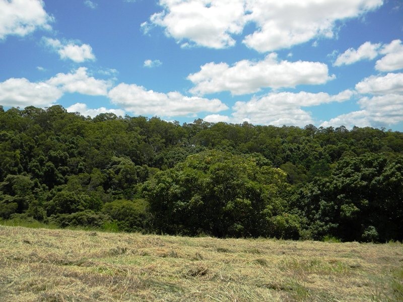 Cootharaba QLD 4565