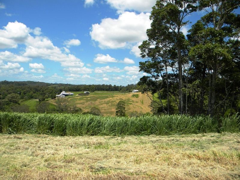 Cootharaba QLD 4565