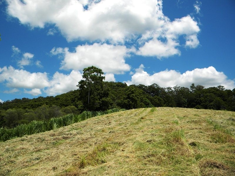 Cootharaba QLD 4565