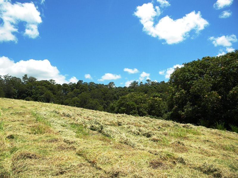 Cootharaba QLD 4565