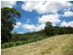 Cootharaba QLD 4565