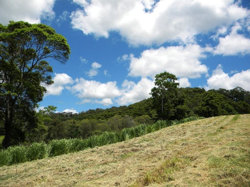 Cootharaba QLD 4565